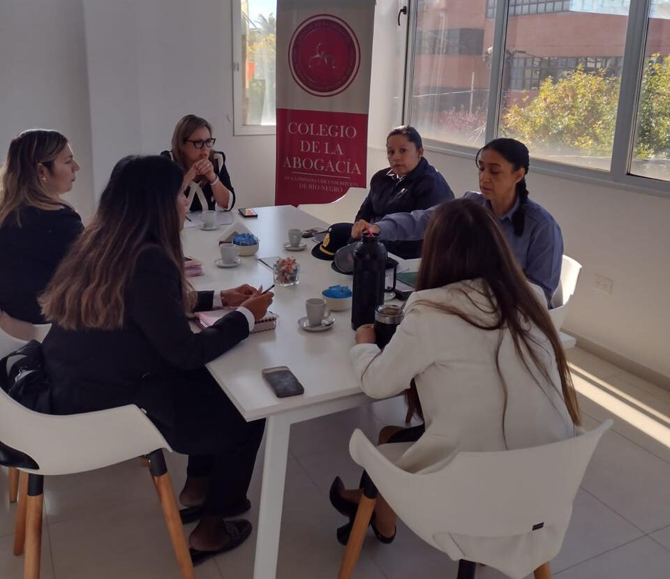 El C.A.P.C.R.N. y la Comisaría de la Familia coordinan acciones estratégicas 3