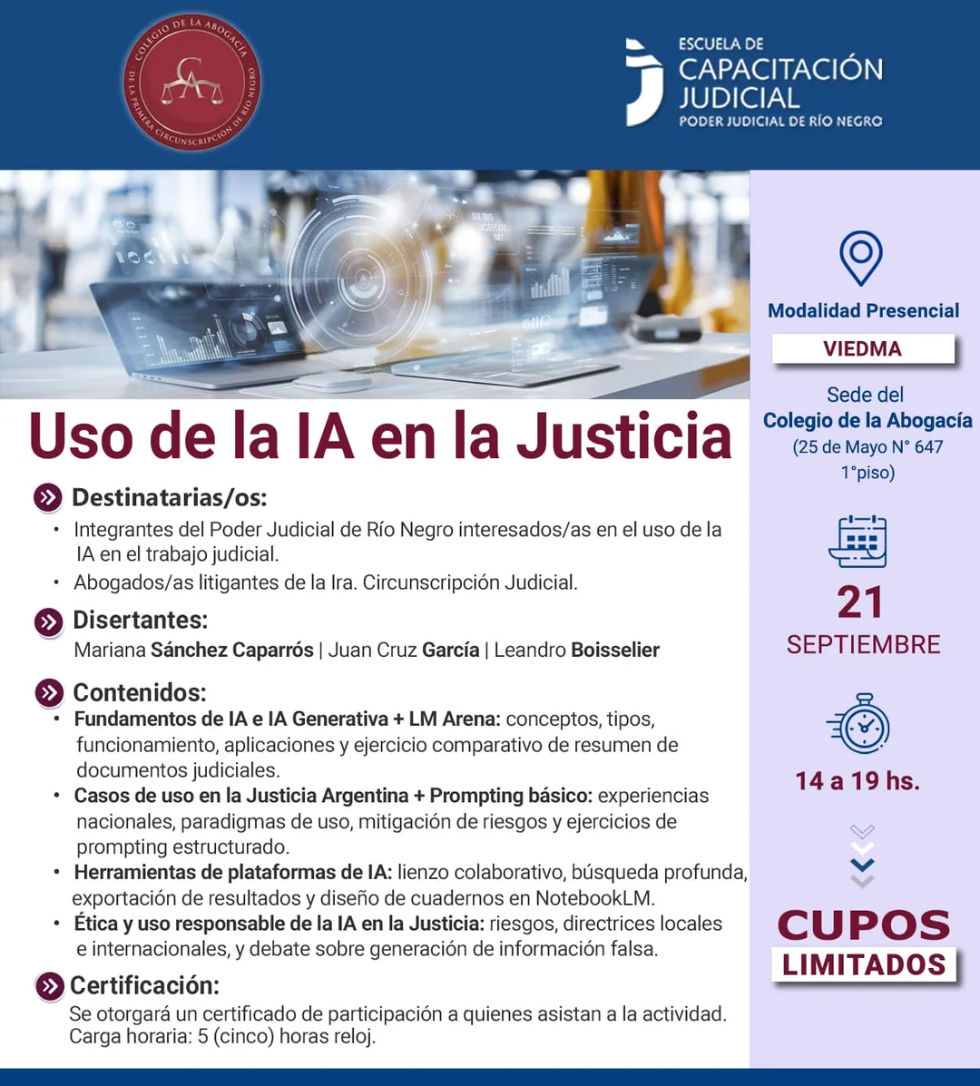 Uso de la IA en la Justicia Viedma